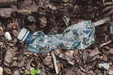 “É só uma garrafa de Plástico” – Disseram Milhões de Pessoas