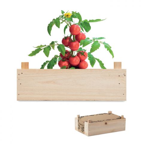 Kit de cultivo de tomate