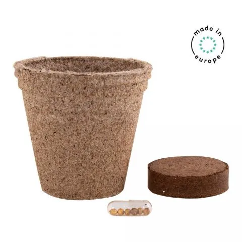 Vaso biodegradável com especiarias