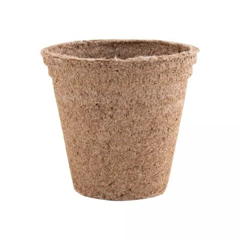 Vaso biodegradável com especiarias