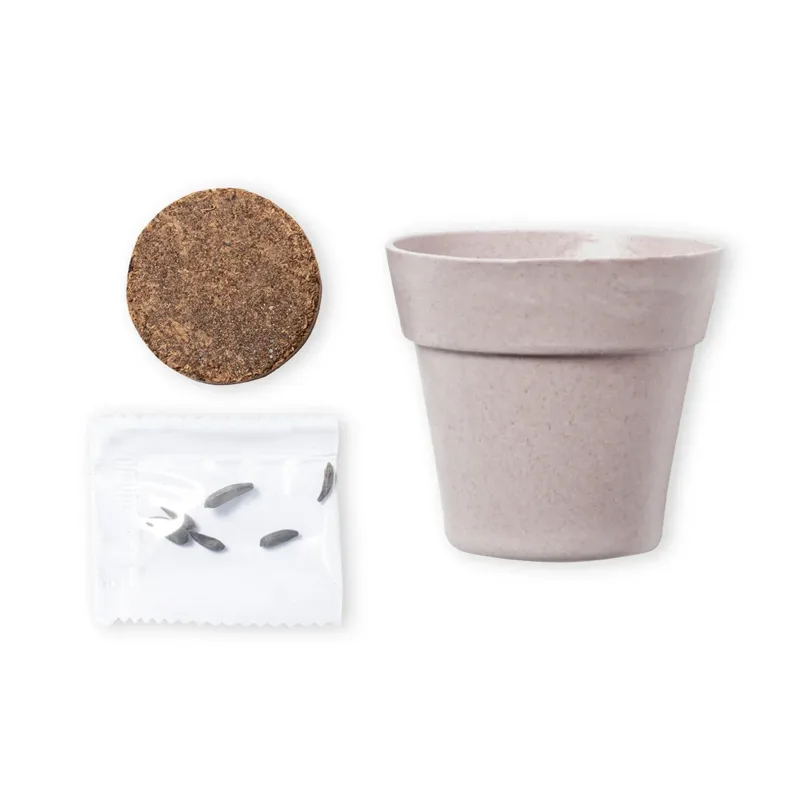 Vaso biodegradável com sementes de girassol